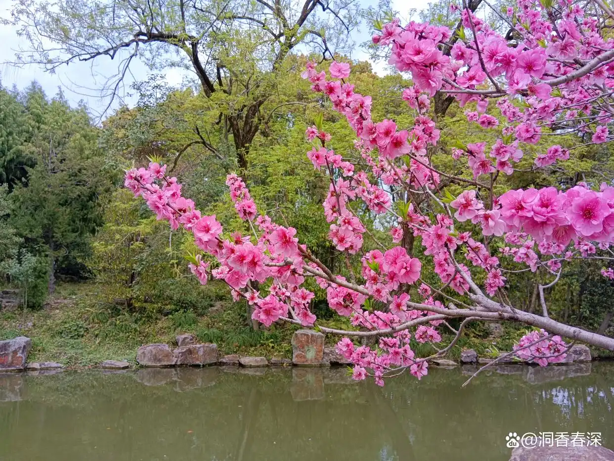 春日絮语