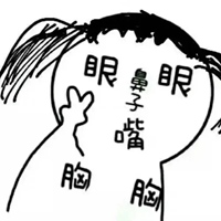 简单的人体结构