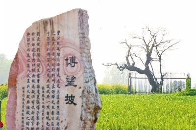 真实的火烧博望坡，根本不是诸葛亮指挥的（下集）
