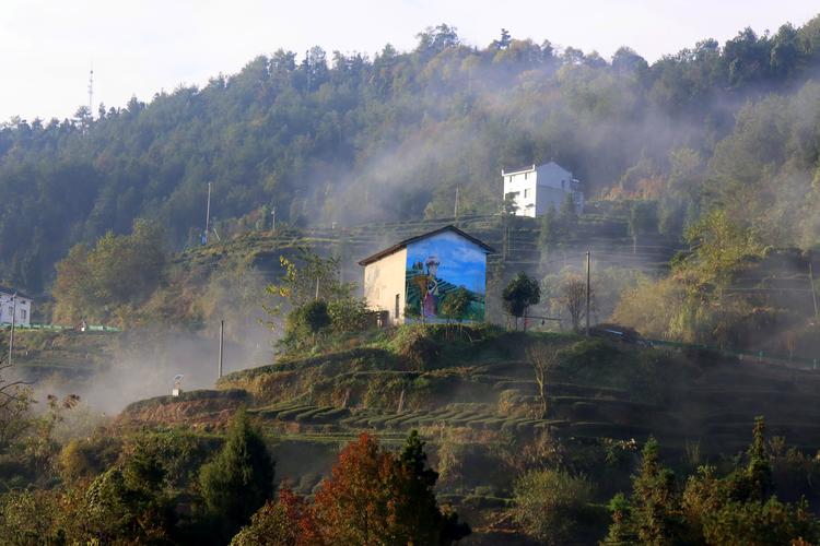 山坳里的慢时光